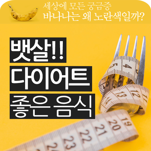 내 뱃살 어쩔!? 다이어트에 좋은 음식은 뭘까요? 내 뱃살 어쩔!? 다이어트에 좋은 음식은 뭘까요?