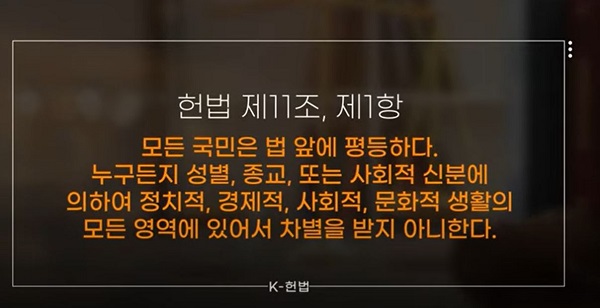  [대한민국 K-헌법] 5강 (1) 국민의 기본권 평등 by 크레도