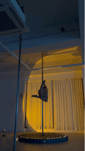  22.02.04 폴기록109. 스카이버드