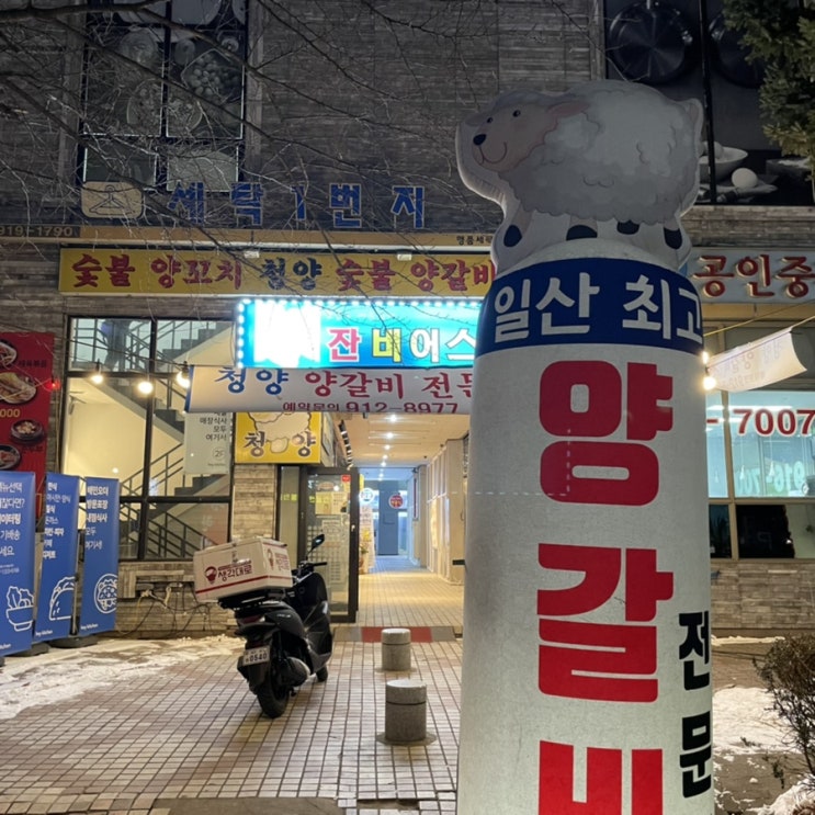  일산 양갈비 맛집 "청양" 리뷰 - 주엽역 양고기 양갈비 맛집 데이트 코스 회식 추천 주엽동 청양 주엽동 양갈비