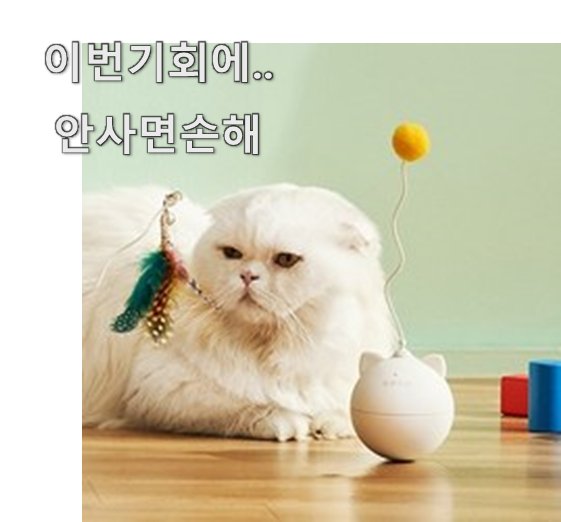  완전대박 고양이장난감 추천 목록 장인어른도 아시더라구요.ㅋ