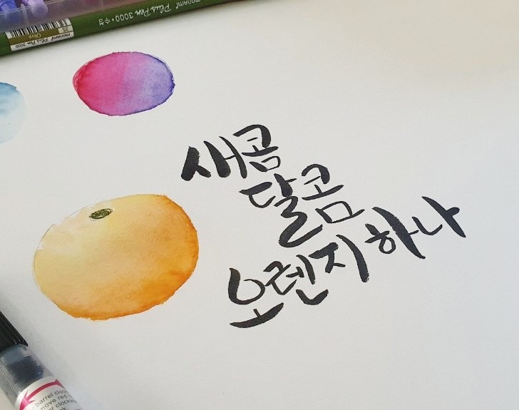  캘리그라피 수채화에 모나미 플러스펜 36색 활용하기(텐바이텐 득템)