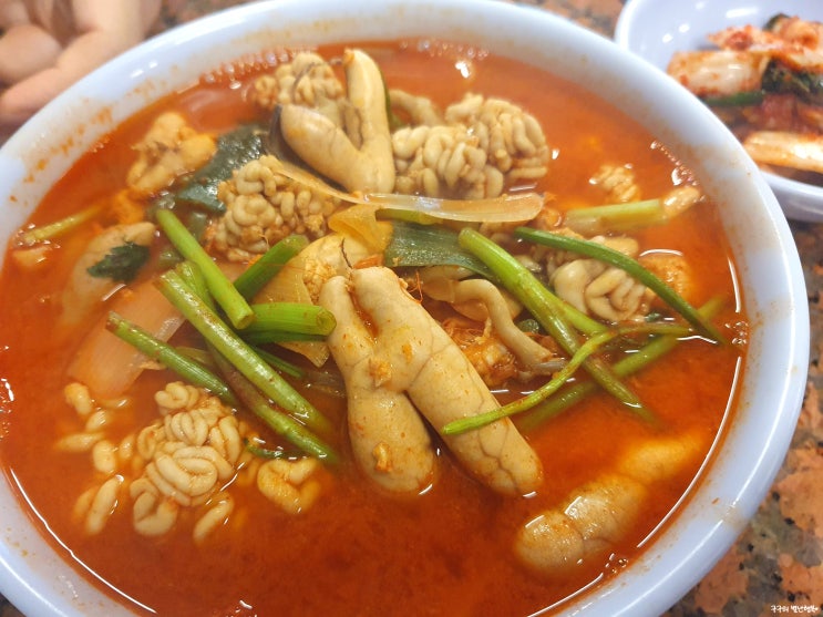  TVING 줄 서는 식당 :: 줄서는 핫플식당 소개하는 프로그램(신당 하니칼국수, 노티드도넛, 송계옥)