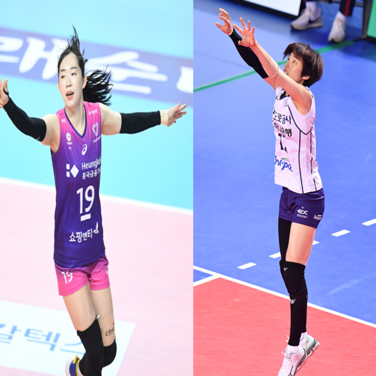 여자배구 흥국생명 도로공사 2월 5일 경기예상(캣벨 정윤주 이주아 켈시 박정아 정대영)