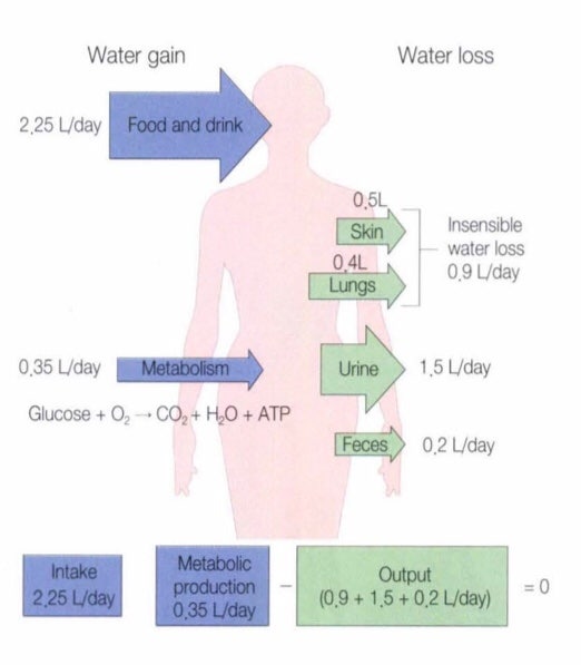 6. Fluid(수액) 종류 및 속도 조절