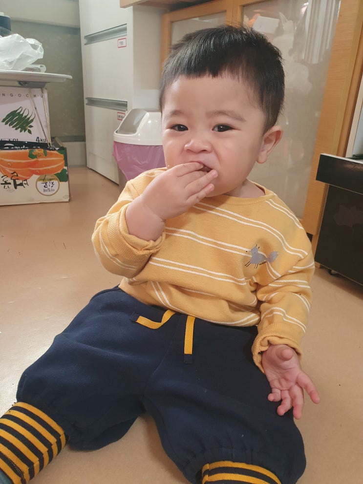  2월의 기록 / 결혼 안 한 삼촌의 조카사랑
