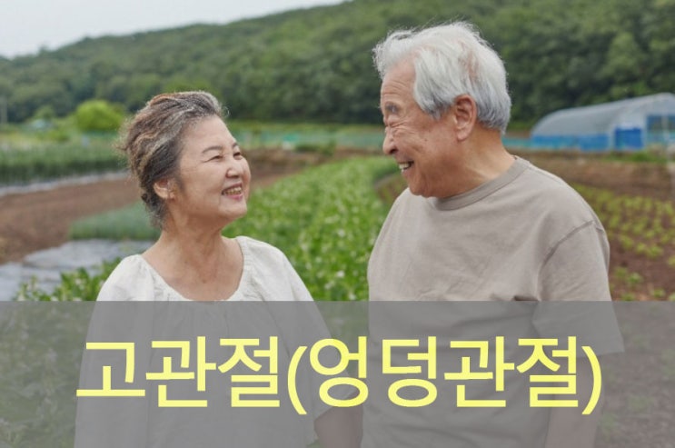  고관절( 엉덩관절) 통증 원인과 증상, 예방, 좋은 음식