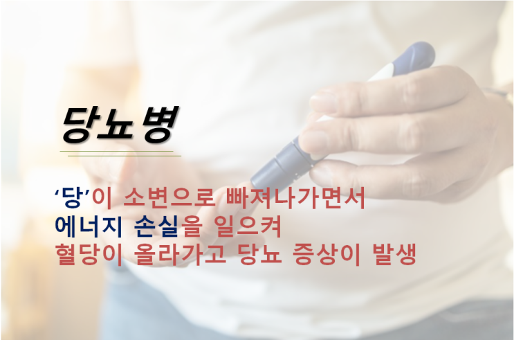  2형 당뇨병 환자의 당뇨병 발병 원인 '요당'을 치료하는 방법