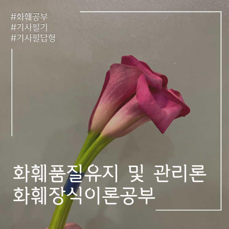  화훼품질유지 및 관리론 : 생장과 발육 - 2
