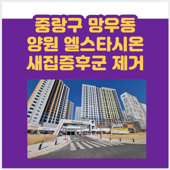  중랑구 양원지구 엘스타시온 아파트 라돈 측정 서비스부터 새집증후군 제거까지~