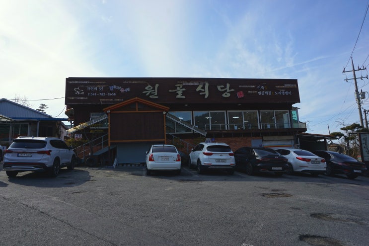  [충남 금산 맛집]  어죽 맛집 "원골식당"
