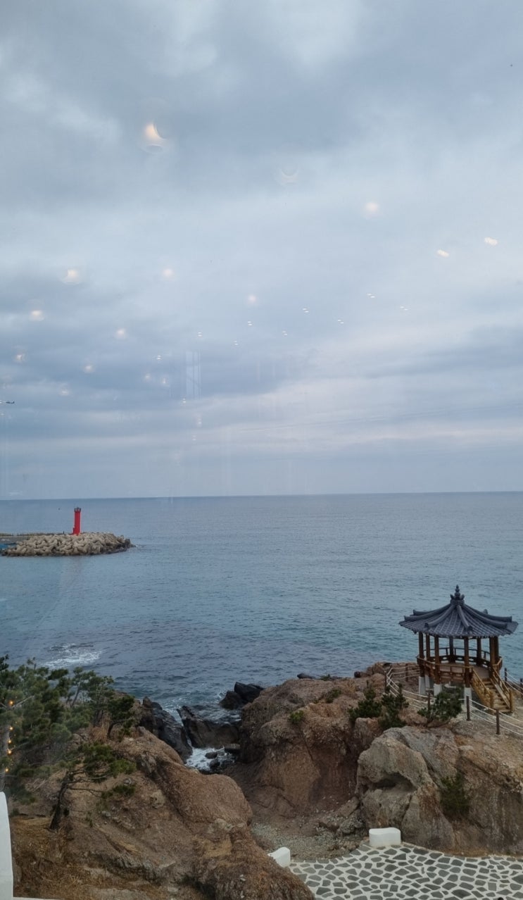  진정한 바다뷰 카페(포항 러블랑)-내돈 내산