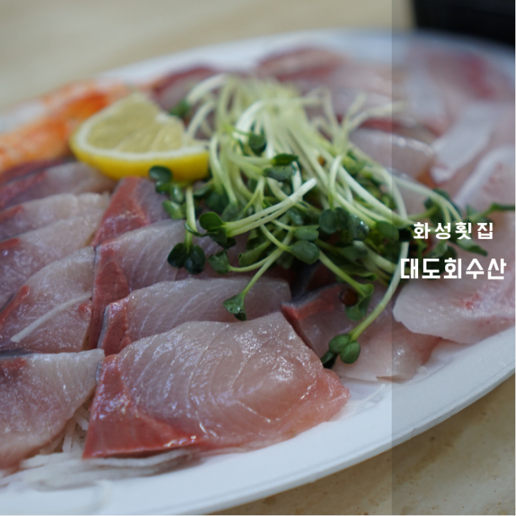  동탄 화성횟집 겨울 대방어가 맛있는 대도회수산 이유 있는 추천