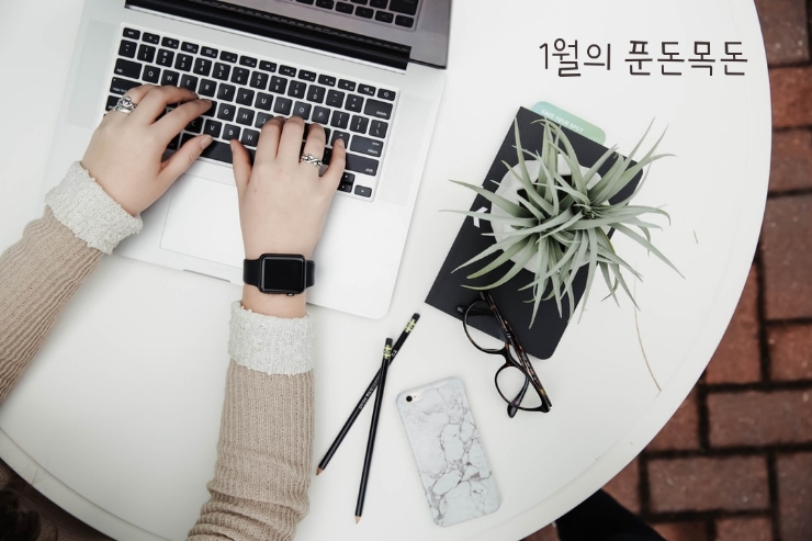 1월의 푼돈목돈 정산 & 기록일기. 1월의 푼돈목돈 정산 & 기록일기.
