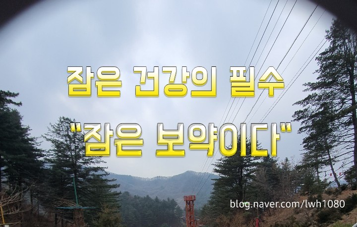 잠은 건강의 필수 "잠은 보약이다" 잠은 건강의 필수 "잠은 보약이다"