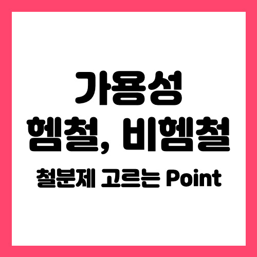  가용성 헴철 비헴철 철분제 고르는 Point