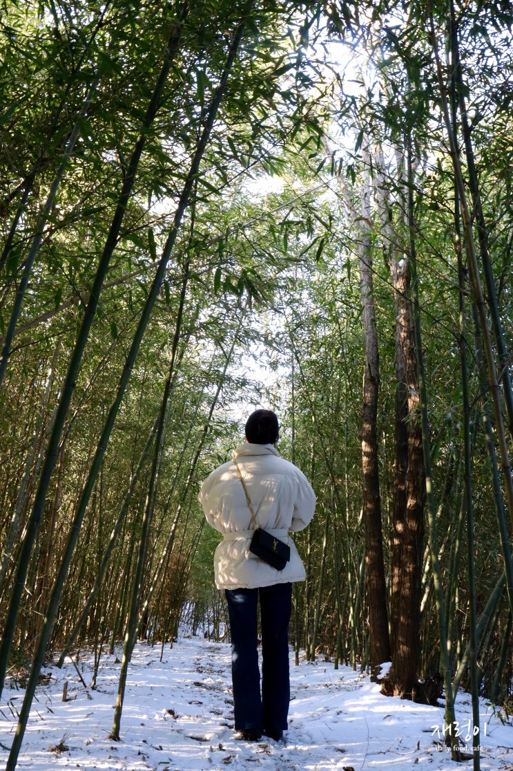  당진 가볼만한곳, 면천읍성 면천창고 대숲바람길