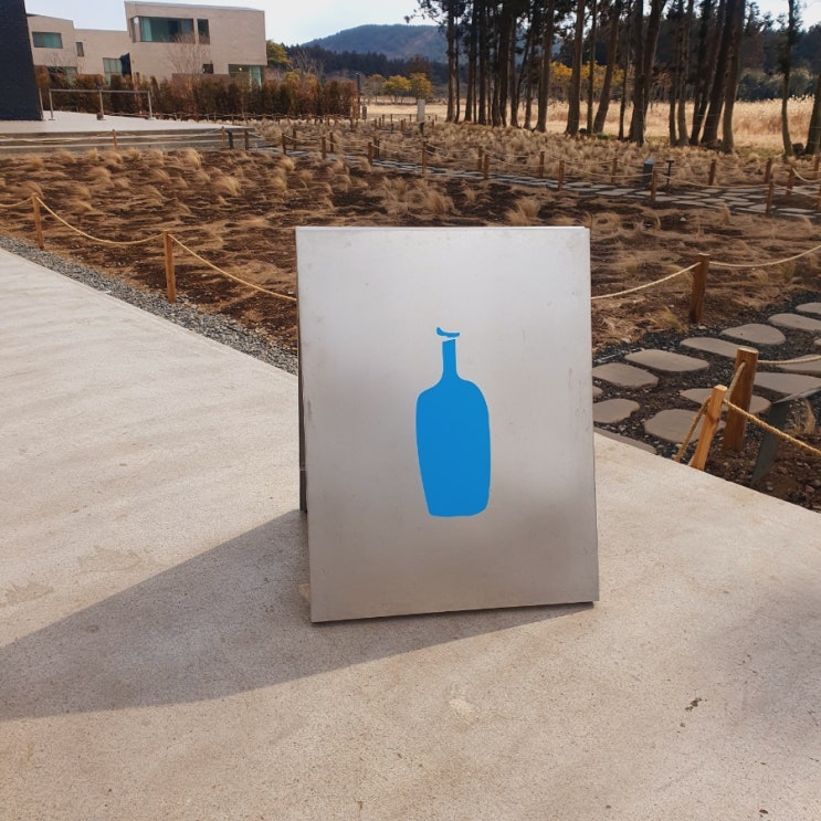  제주 블루보틀 핫한 동쪽 카페