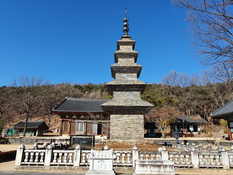  송림사 팔공산 서쪽에 위치해 있어요