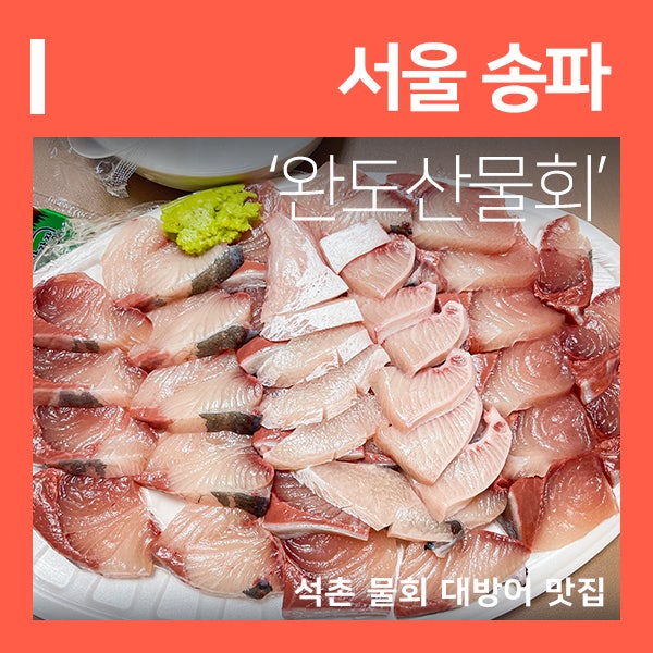 석촌역횟집 완도산회포장마차 송리단길맛집 ( feat. 송파물회 추천 )