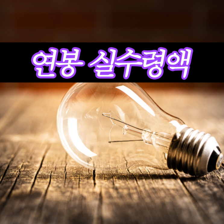  연봉2000실수령액부터 연봉6000실수령액까지 연봉별 실수령액 확인해봐요