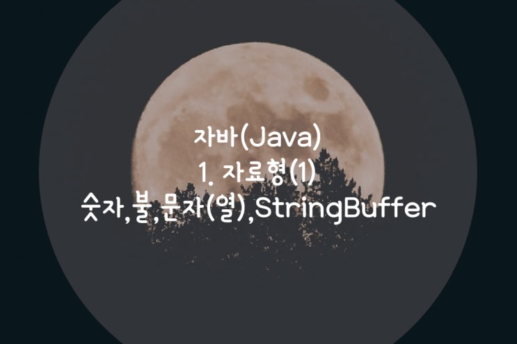  점프Java  1.자료형(1) : 숫자,불,문자,StringBuffer