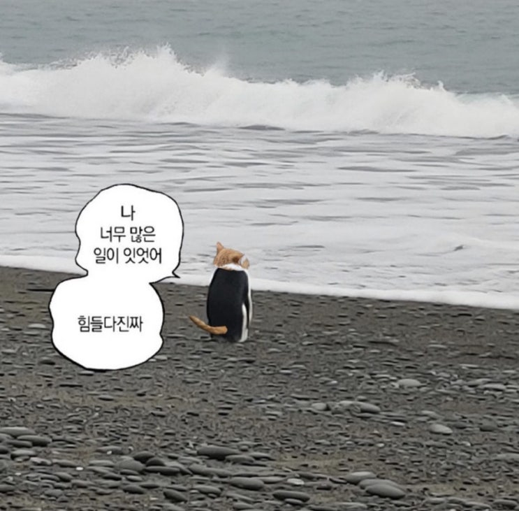  우주를 다 부셔버릴지라도