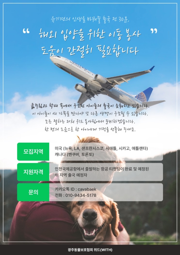 광주동물보호협회 위드 해외입양봉사 DM 제작