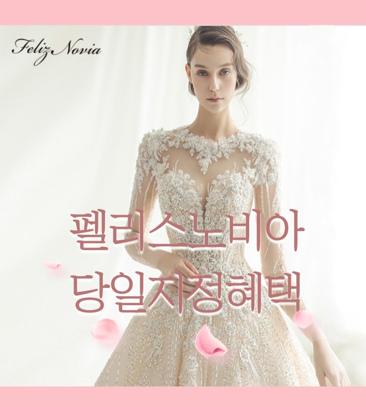  펠리스노비아 당일지정혜택 공유 (feat. 드레스투어 팁)