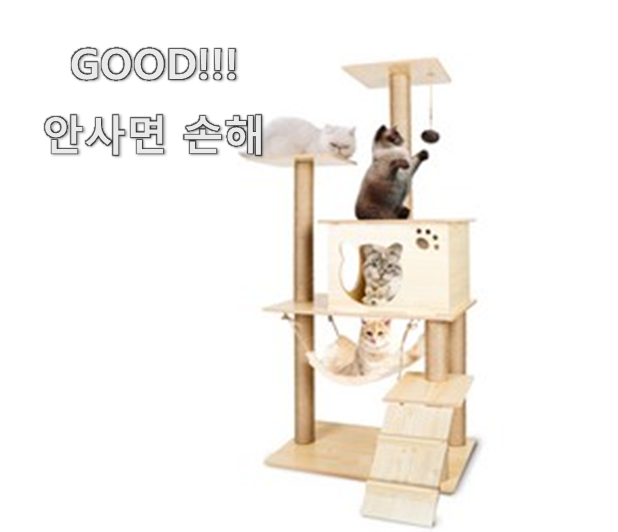  선물같은 고양이캣타워 추천 리스트 와이프가 더 좋아해요.