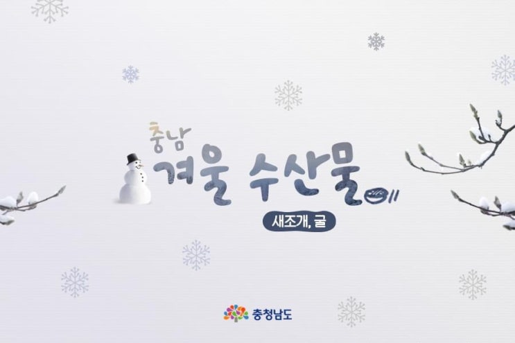 충남 겨울 수산물 새조개 굴 놓치면 아쉬운 충청남도 겨울의 맛 | 충남도청페이스북