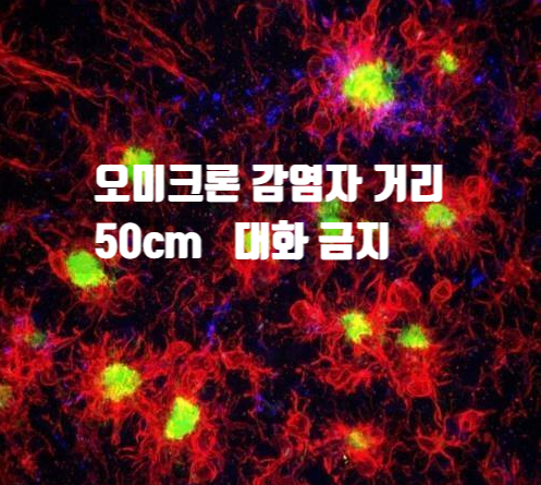 오미크론 마스크 써도 감염 거리 50cm 대화 감염 코로나 후유증 치매 오미크론 마스크 써도 감염 거리 50cm 대화 감염 코로나 후유증 치매