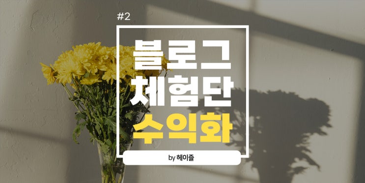  블로그체험단으로 880만원 상당 수익 공개 2편 (feat.2021년 10월~12월 결산) + 체험단공유 및 체험업체 베스트 정리