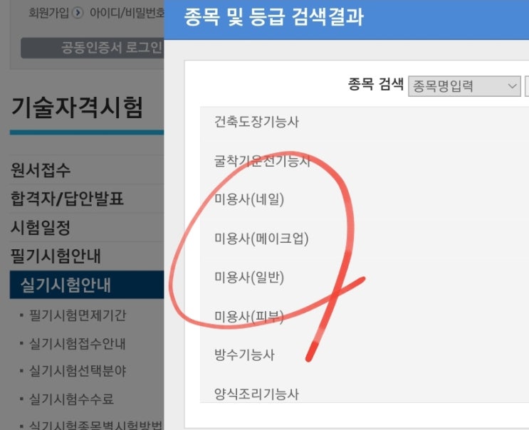  미용사 자격증 (피부 헤어 네일 메이크업 필기 실기 일정 접수 준비물)