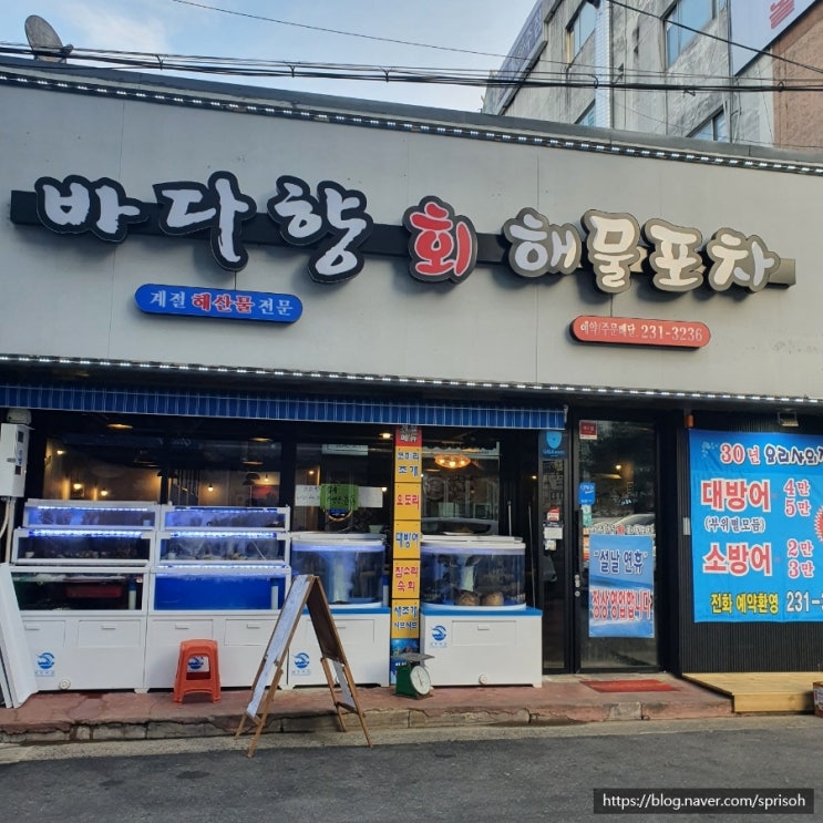  창원마산 중리삼계 맛집 [바다향 회, 해물포차]