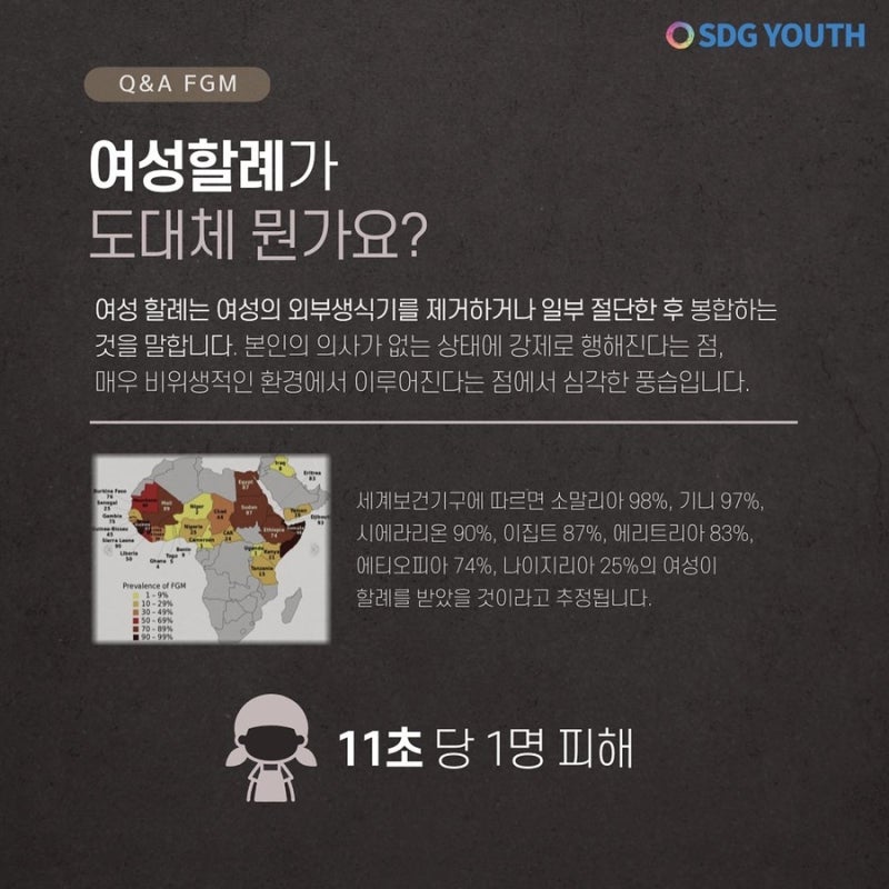 2월 6일은 세계 여성 할례 금지의 날🙅🏻‍♀ SDG 5 함께 공부해요!👫🏻 : 네이버 블로그