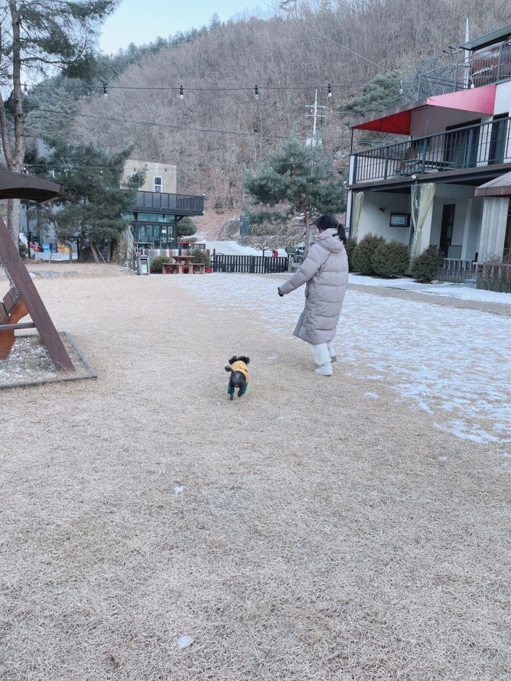  가평 애견펜션 하릅