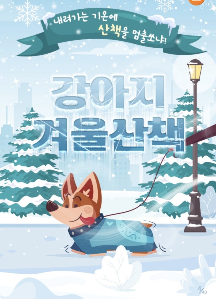  겨울철 강아지 산책 주의사항