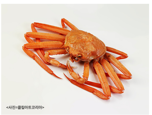 영양가 풍부한 2월 수산물 2가지(대게, 우럭) 영양가 풍부한 2월 수산물 2가지(대게, 우럭)