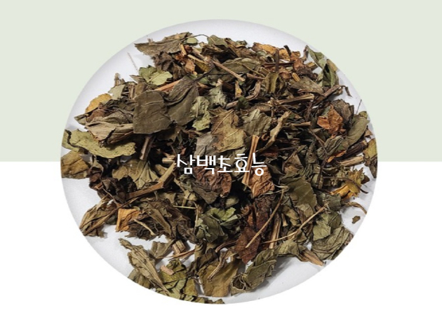  삼백초 효능 8가지 기침 천식에 좋은 약초