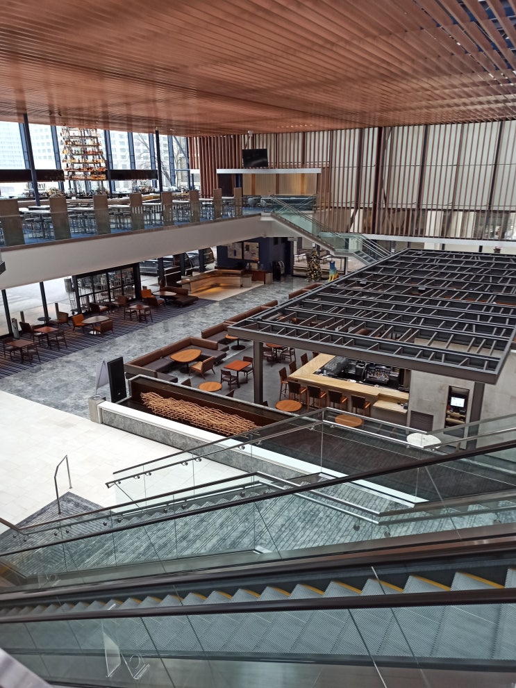  [미국 여행기]01.05 시카고에서 댈러스로(Southwest, Dallas Love Field Airport, Lyft, Saucy's Thai and Pho)