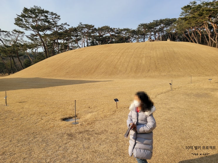  여주 세종대왕릉(영릉) 방문기(경기도 당일치기 여행 추천)