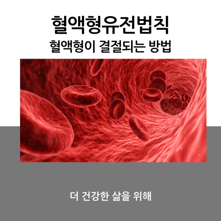  혈액형유전법칙, 혈액형이 결절되는 방법에 대해