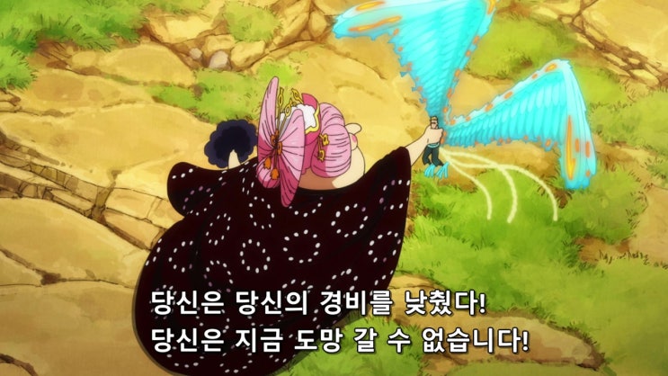 원피스 1009화 자막 애니 리뷰 원피스 1009화 자막 애니 리뷰