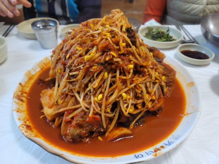  강릉맛집추천~ 옛카나리아 '대구머리찜' 솔직후기 강릉가면 무조건!