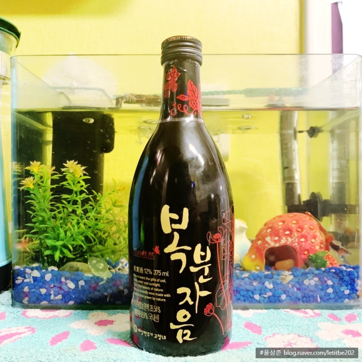  복분자음 가격과 복분자 효능
