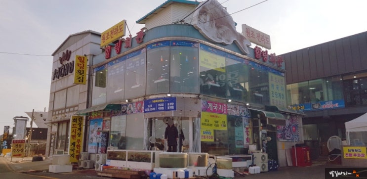  태안안면도) 백사장항 '힐링횟집' - 숨어있는 현지 맛집