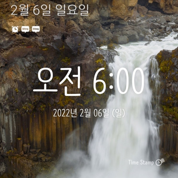  알파카모닝 9일차! 일요일도 일찍 일어나보자.