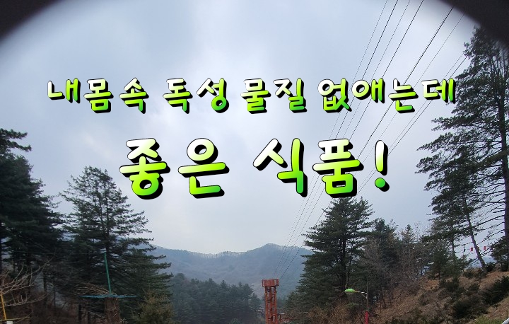 내몸속 독성 물질 없애는데 좋은 식품 소개드릴께요! 내몸속 독성 물질 없애는데 좋은 식품 소개드릴께요!