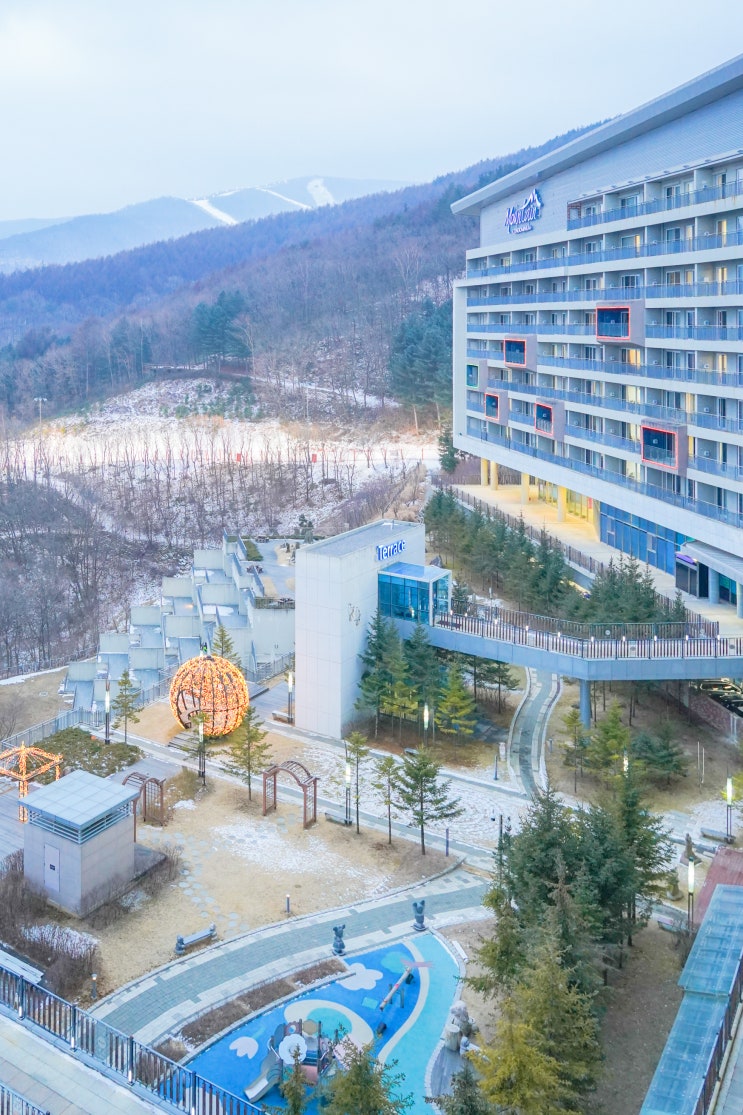 정선 하이원리조트 콘도 숙소 숙박 정선 하이원리조트 콘도 숙소 숙박